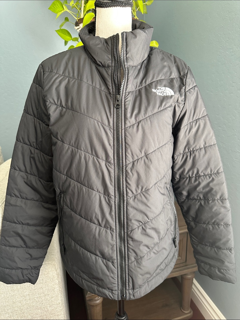 The North Face Woman’s Black Puffer Jacket - Insulated Winter Coat